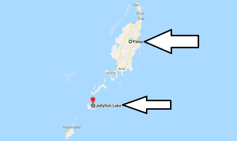 Where is Jellyfish Lake? What Country is Jellyfish Lake in? Jellyfish Lake Map
