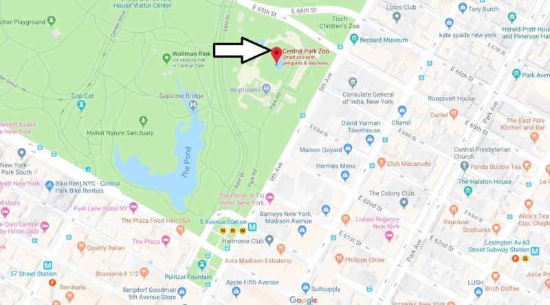Where is Central Park Zoo Located Prices,Tickets, Hours, Map