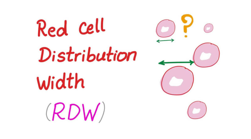 What is RDW in Blood Test