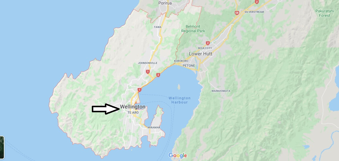 Wellington on Map