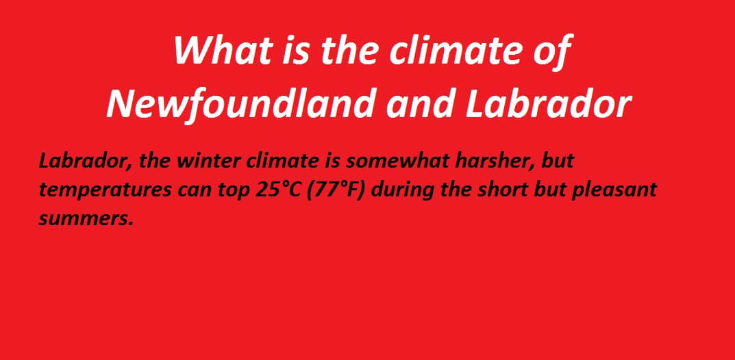 What is the climate of Newfoundland and Labrador