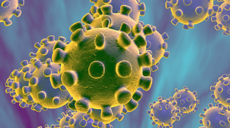Where is Coronaviruses found?