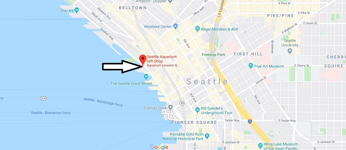 Where is Seattle Aquarium? How long does the Seattle Aquarium take?