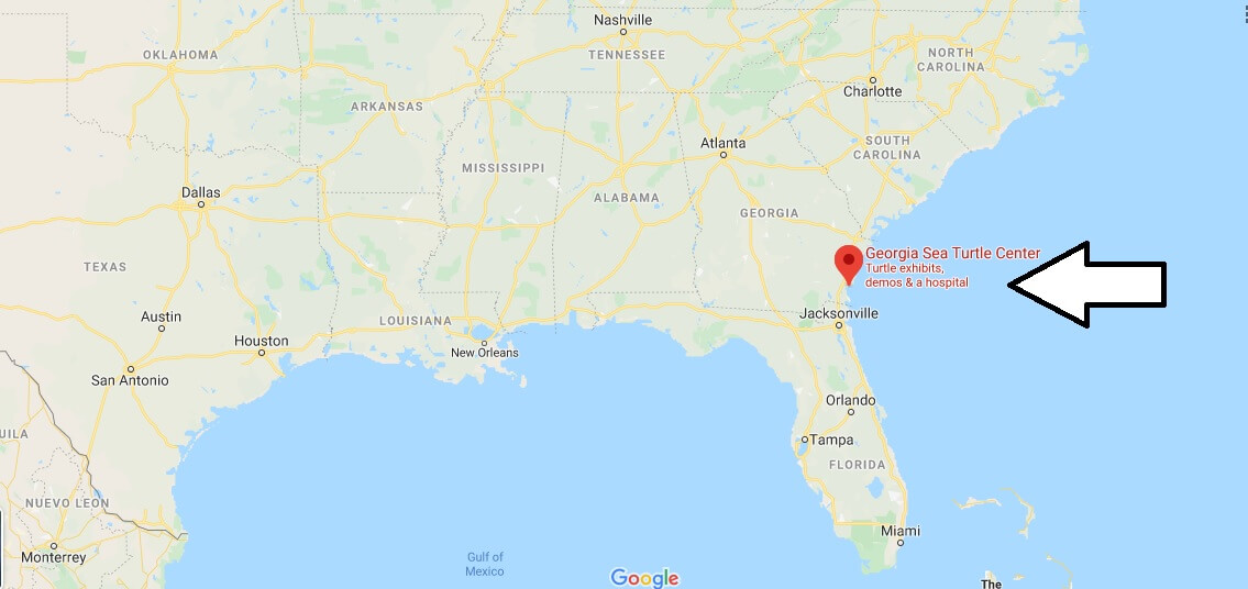 Where is Georgia Sea Turtle Center? How much does it cost to go to Jekyll Island?