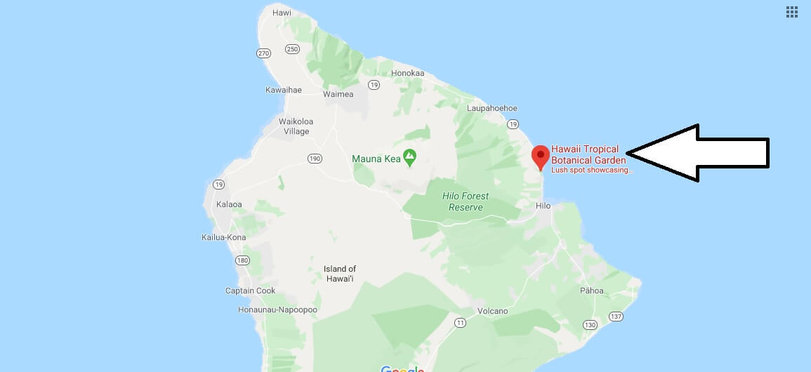 Where is Hawaii Tropical Botanical Garden?