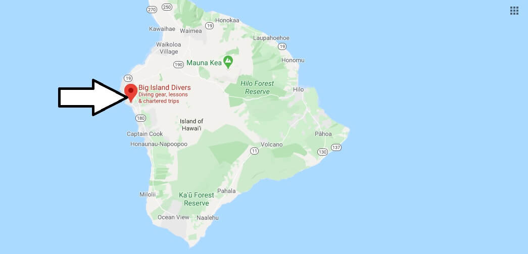 Where is Big Island Divers? Where can I see manta rays in Kona?
