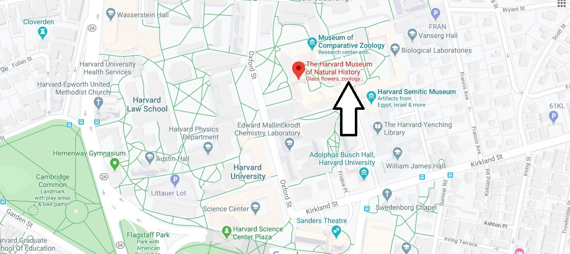 Where is Harvard Museum of Natural History? How do you get to Harvard Natural History Museum?