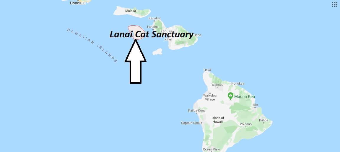 Where is Lanai Cat Sanctuary? How do I get to cat sanctuary Lanai?