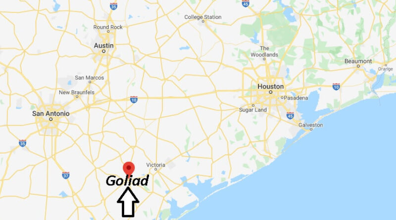 Where is Goliad, Texas? What county is Goliad Texas in