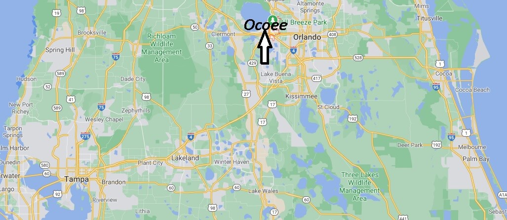 Where in Florida is Ocoee