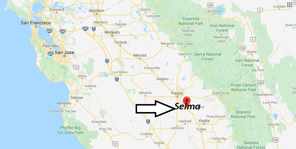Where is Selma Located