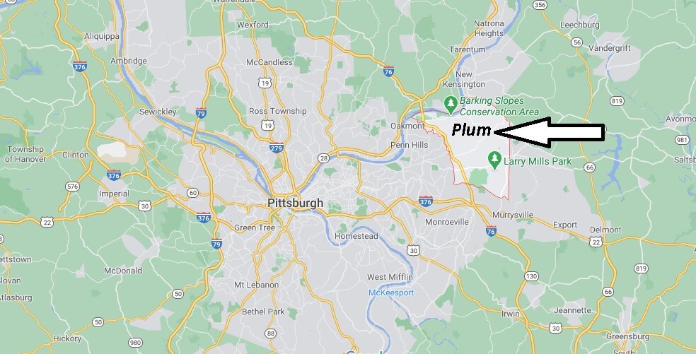 Plum Pennsylvania