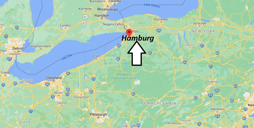 What county is Hamburg NY in