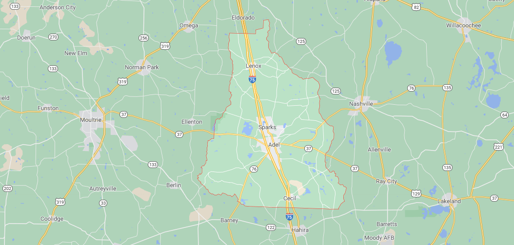 Where in Georgia is Cook County
