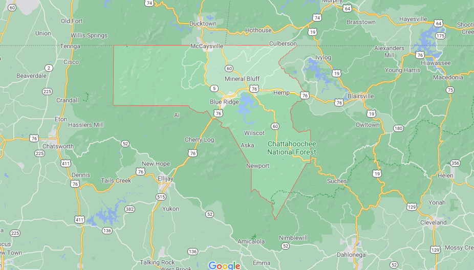 Where in Georgia is Fannin County