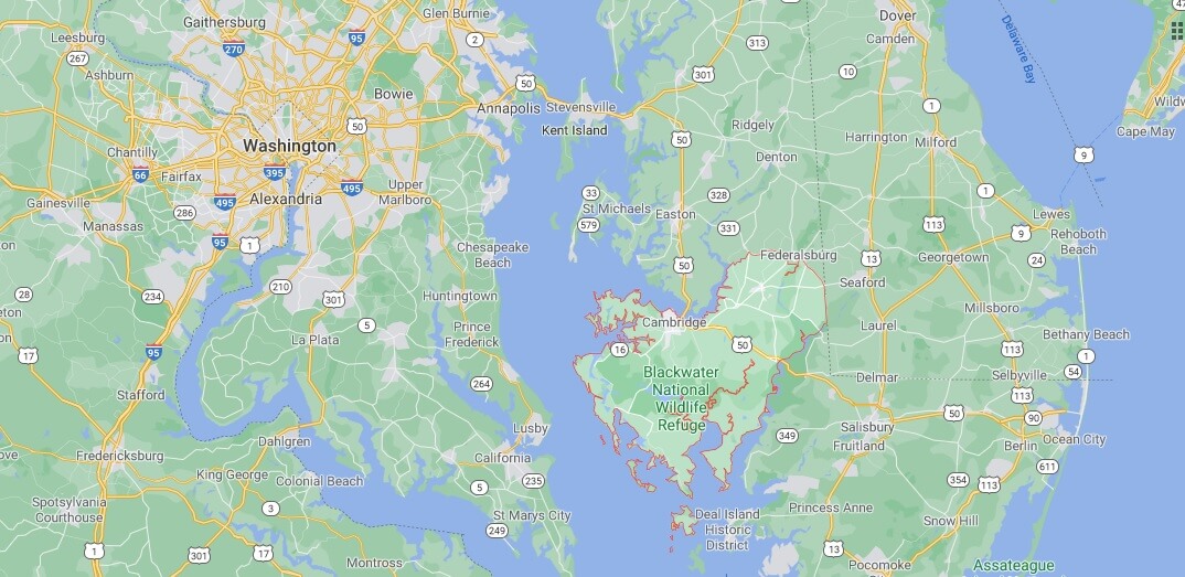What cities are in Dorchester County