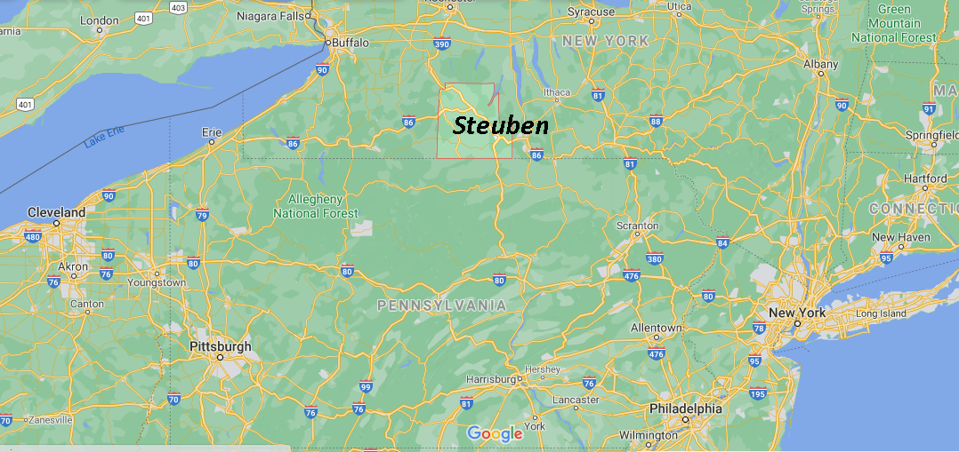 What county is Steuben NY in