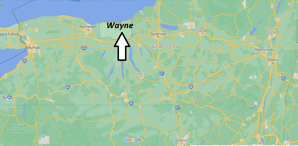 What county is Wayne NY in