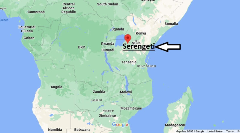 Where is Serengeti
