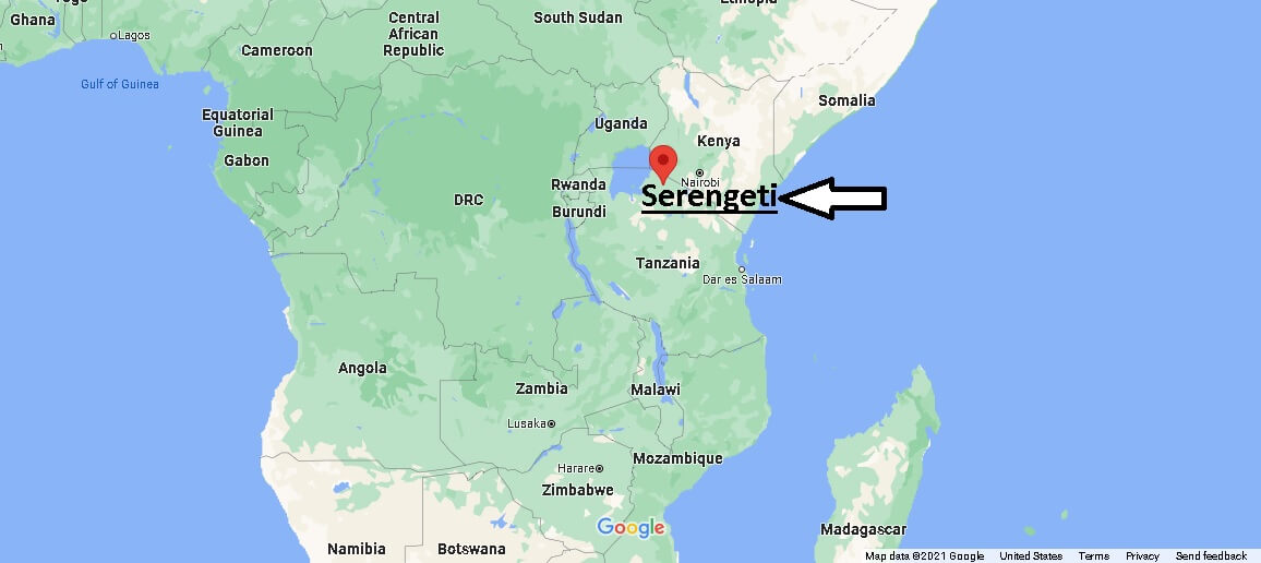 Where is Serengeti