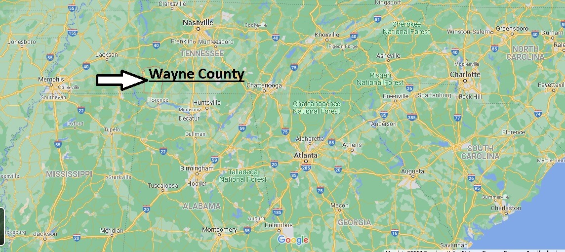 Where is Wayne County Tennessee