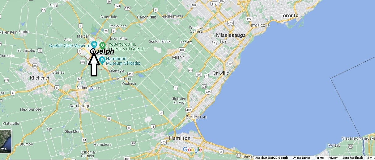 Where is Guelph Canada