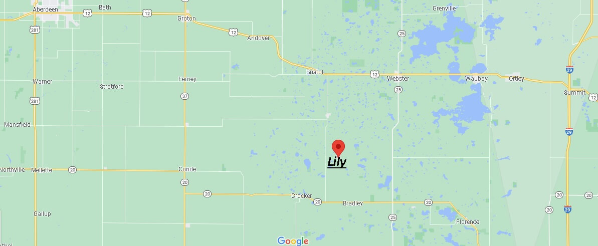 Map of Lily
