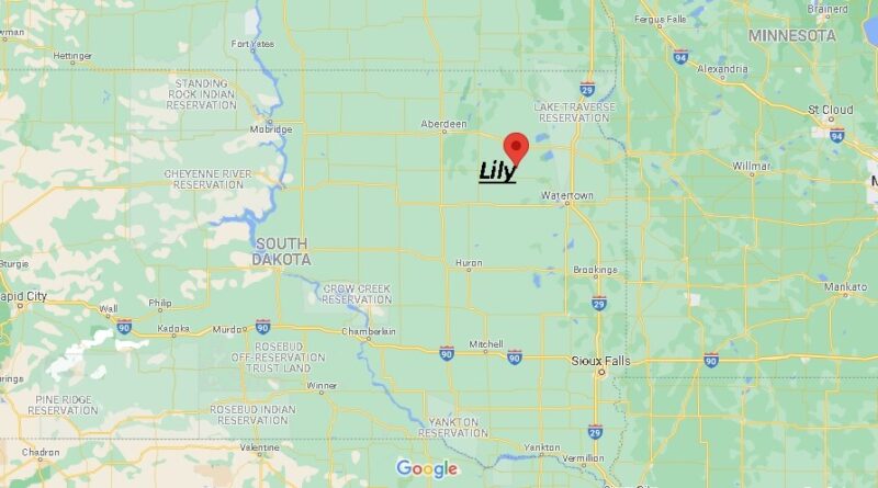 Where is Lily, South Dakota