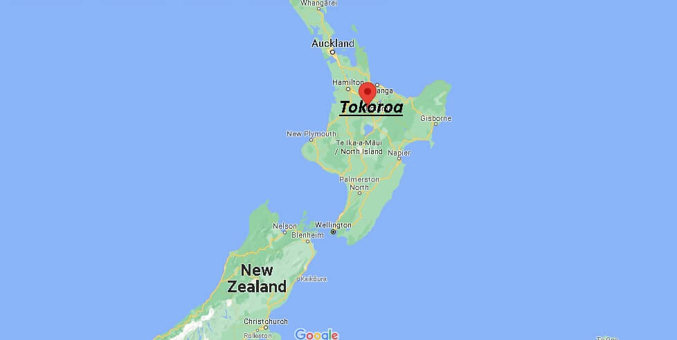 Where is Tokoroa New Zealand