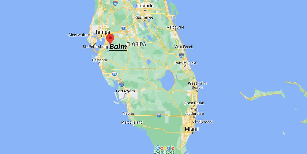 Where is Balm Florida
