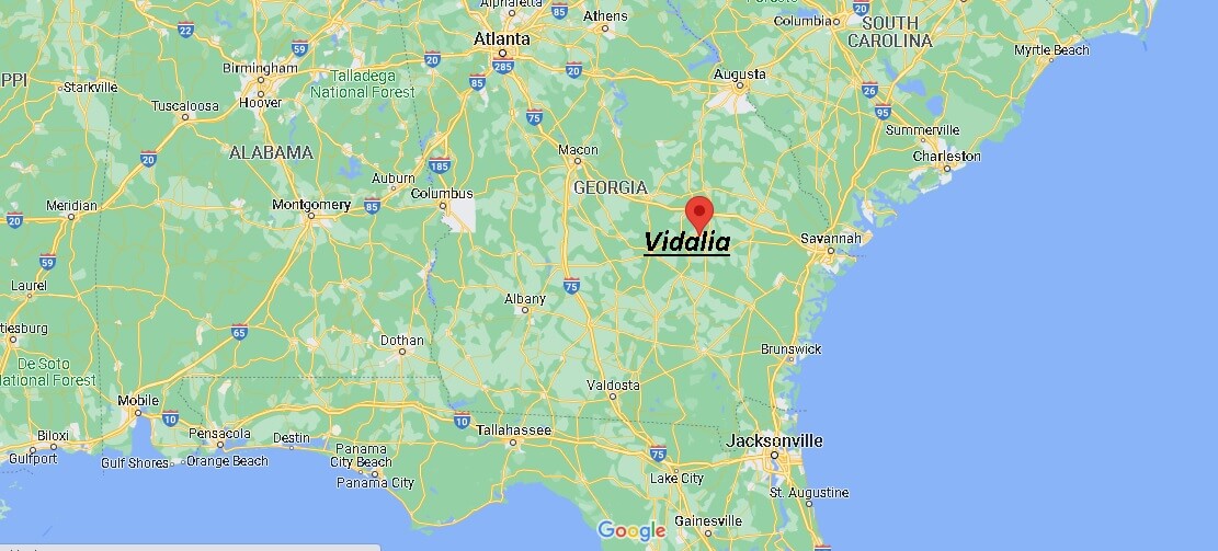 Where is Vidalia Georgia
