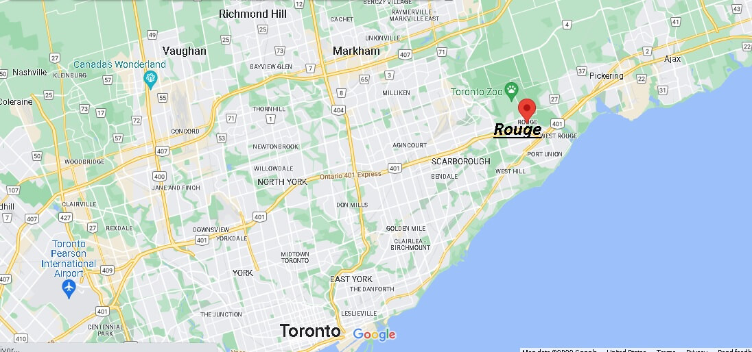 Where is Rogue Canada located