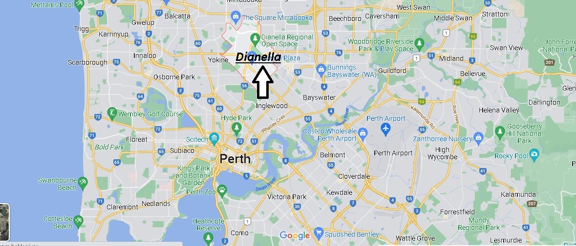 Where is Dianella Australia