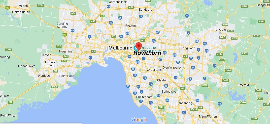 Where is Hawthorn Australia