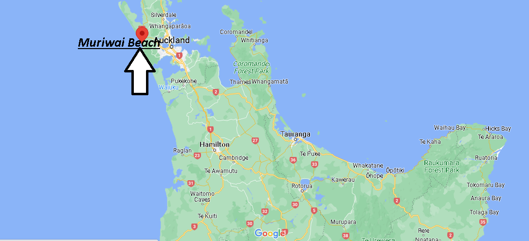 Where is Muriwai Beach New Zealand