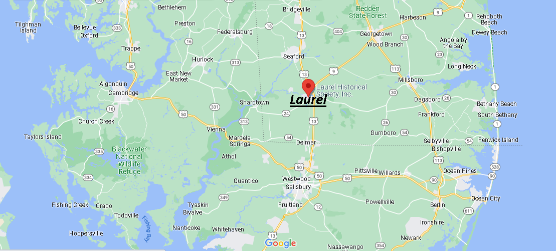 What County is Laurel in
