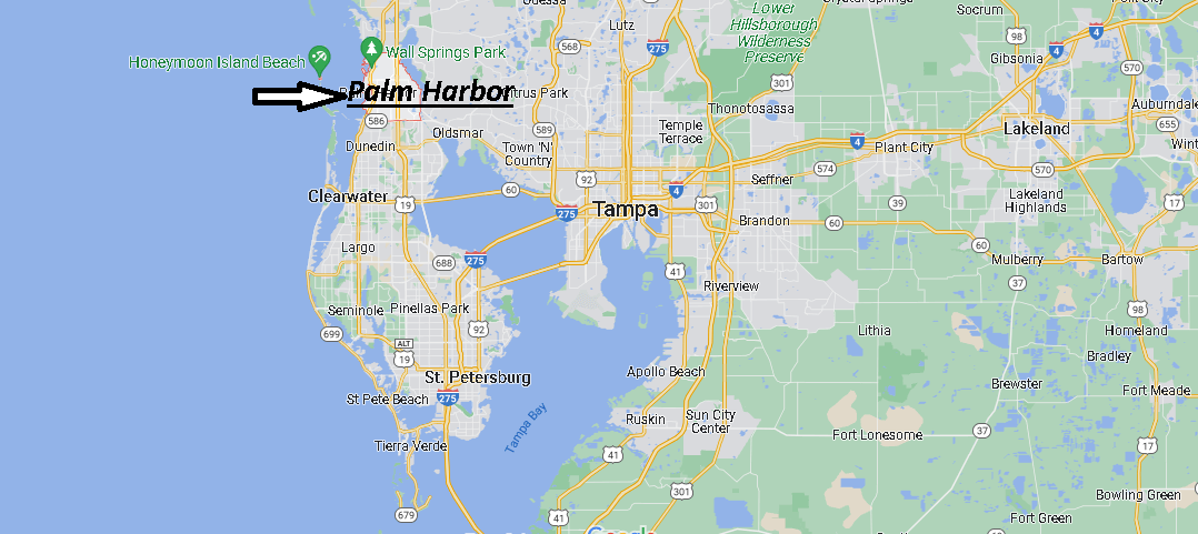 What County is Palm Harbor in