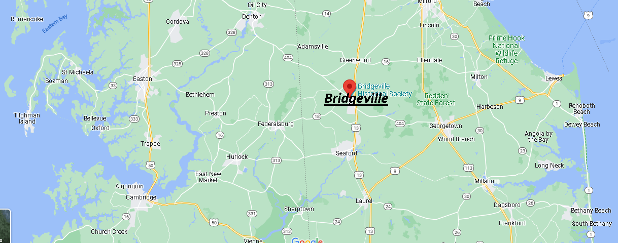 What county is Bridgeville Delaware in