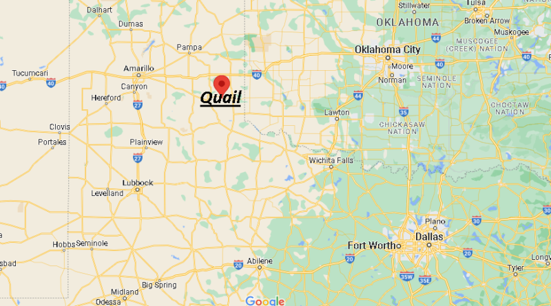 Where is Quail Texas