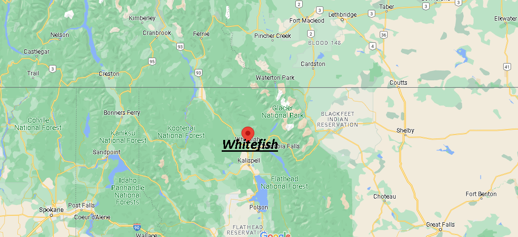 What County is Whitefish in