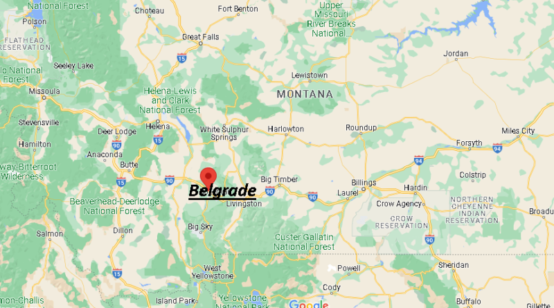 Where is Belgrade Montana