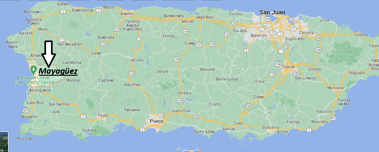 Where is Mayagüez Puerto Rico