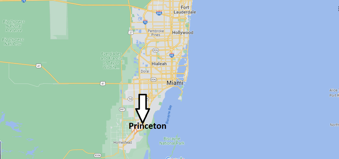 Where is Princeton Florida