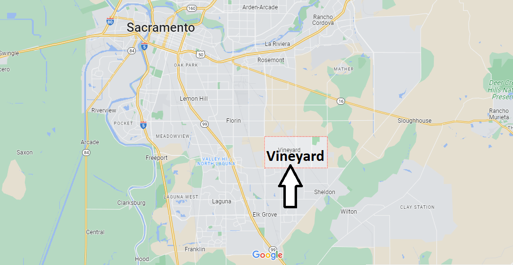 What county is Vineyard California in