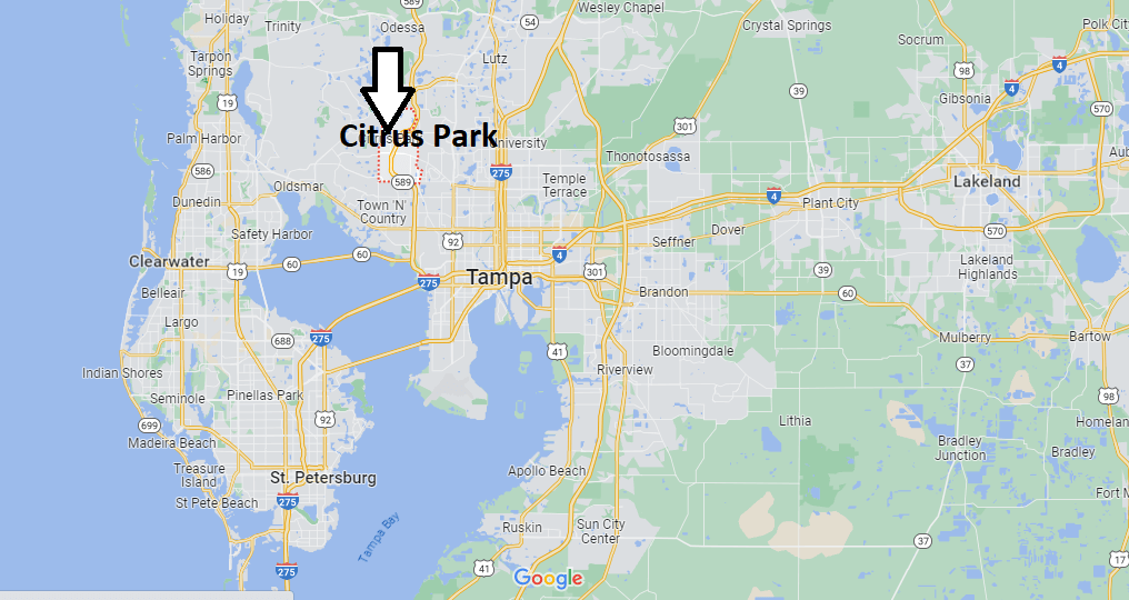 Where is Citrus Park Florida