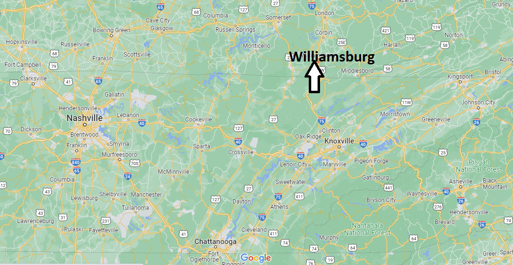 Where is Williamsburg Kentucky