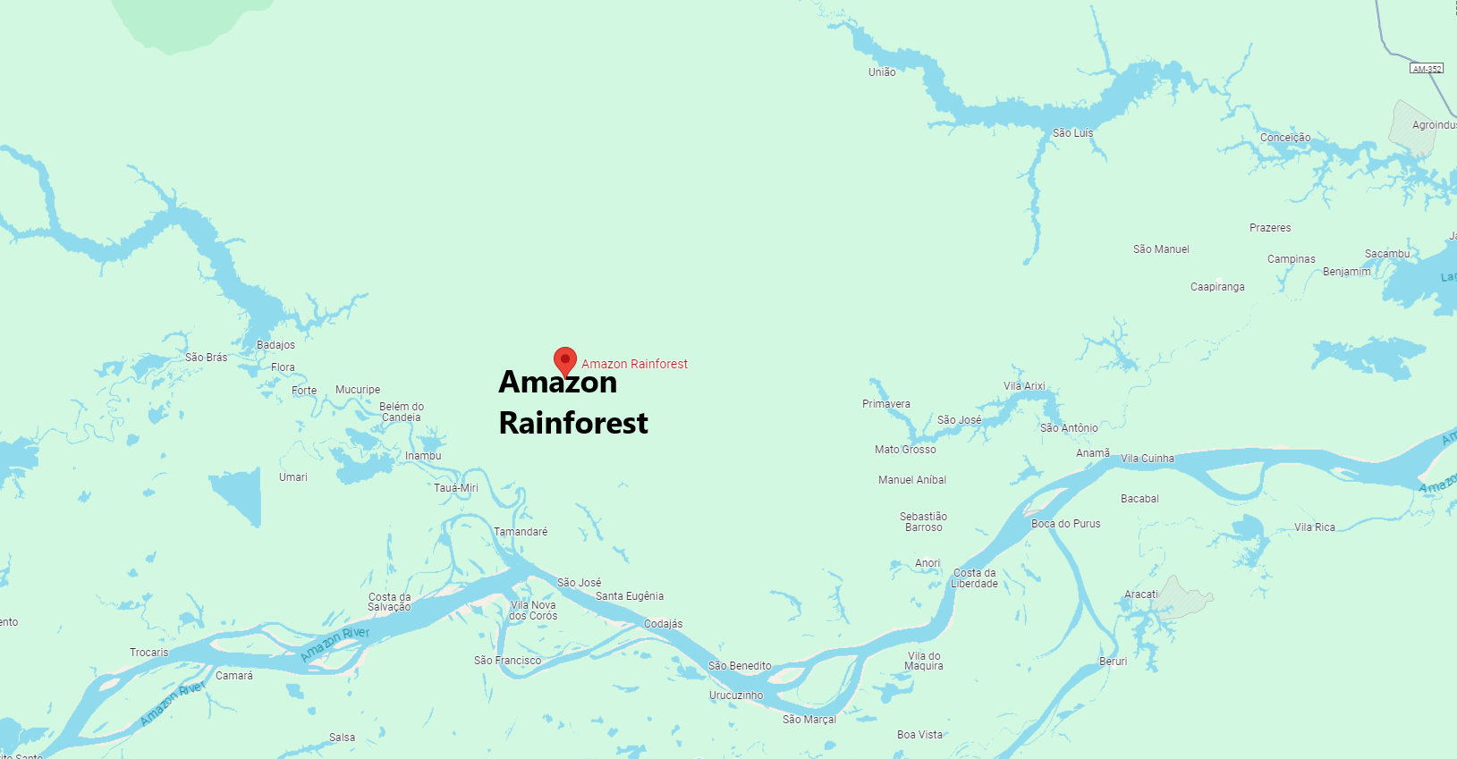 Amazon Rainforest