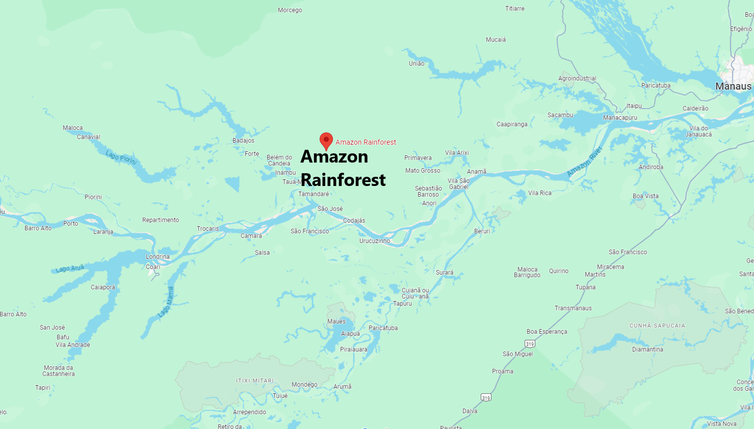 Where is the Amazon rainforest mostly located