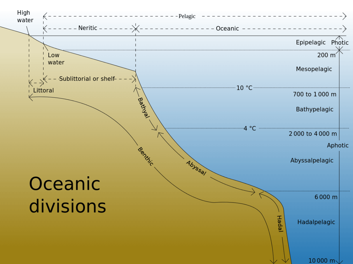 Where is the abyssal plain located