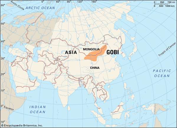 Where is the Gobi Desert